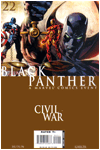 Black Panther #22 (Volume 4)