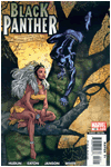 Black Panther #16 (Volume 4)