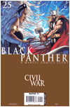 Black Panther #25 (Volume 4)